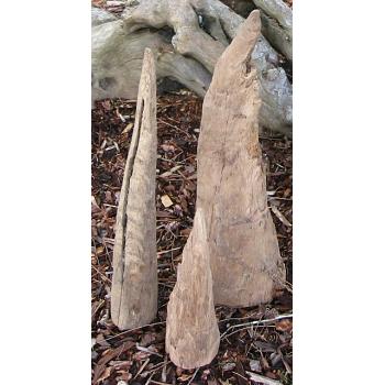 3 Medium Sized Driftwood Spikes